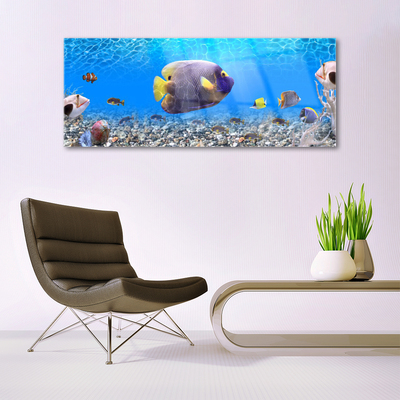 Quadro in vetro Pesce Natura