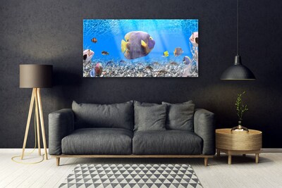 Quadro in vetro Pesce Natura