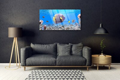 Quadro in vetro Pesce Natura