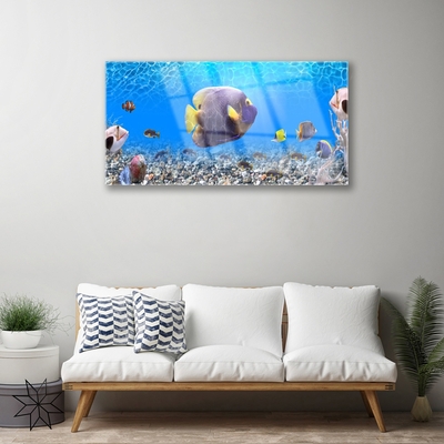 Quadro in vetro Pesce Natura