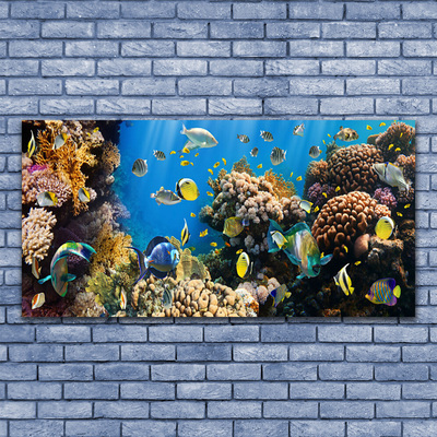 Quadro vetro Natura della barriera corallina