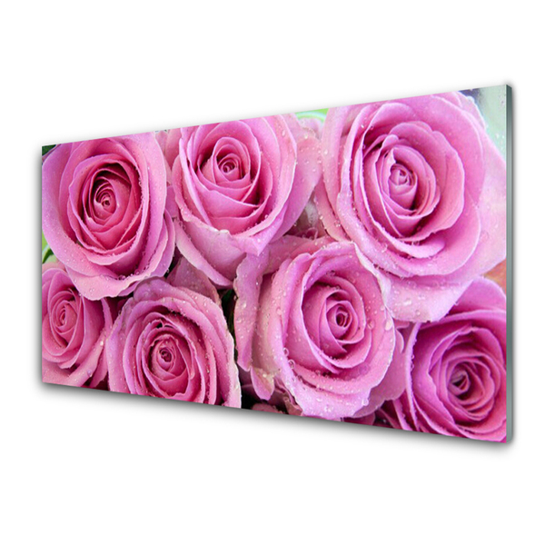 Quadro in vetro Rose Fiori Pianta