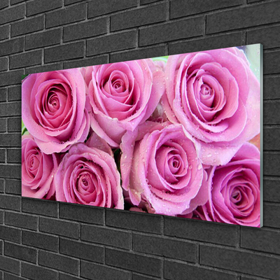 Quadro in vetro Rose Fiori Pianta