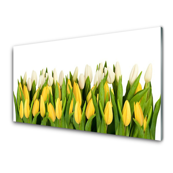 Quadro di vetro Tulipani Fiori Pianta