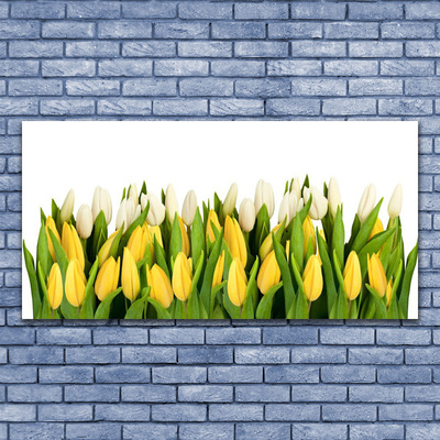 Quadro di vetro Tulipani Fiori Pianta