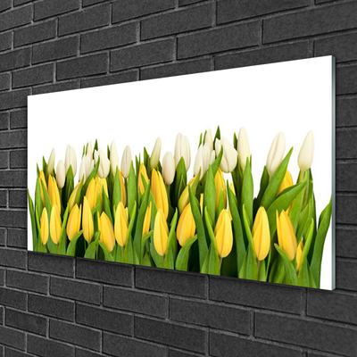 Quadro di vetro Tulipani Fiori Pianta