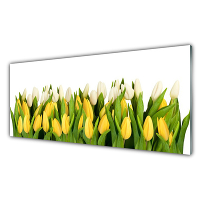 Quadro di vetro Tulipani Fiori Pianta