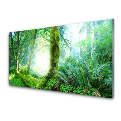 Quadro di vetro Foresta Muschio Natura