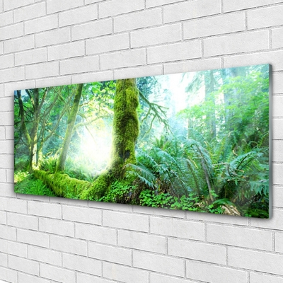 Quadro di vetro Foresta Muschio Natura