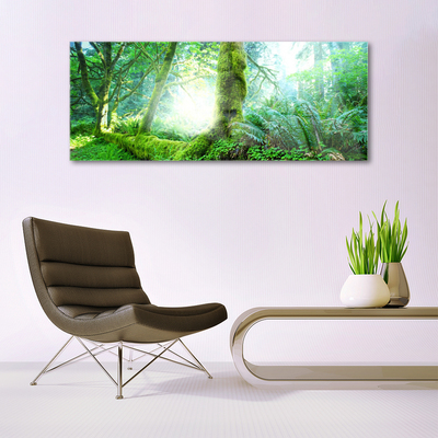 Quadro di vetro Foresta Muschio Natura