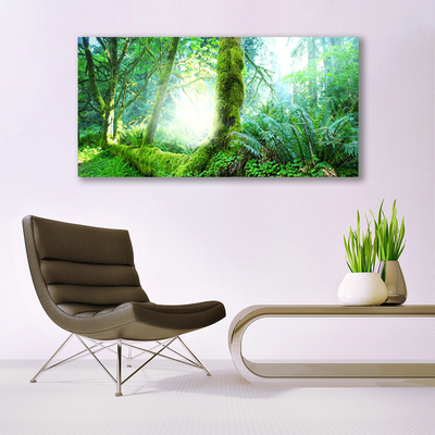 Quadro di vetro Foresta Muschio Natura