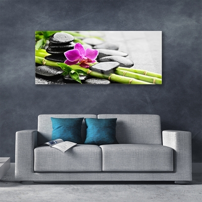 Quadro in vetro Pietre di fiori di bambù Arte