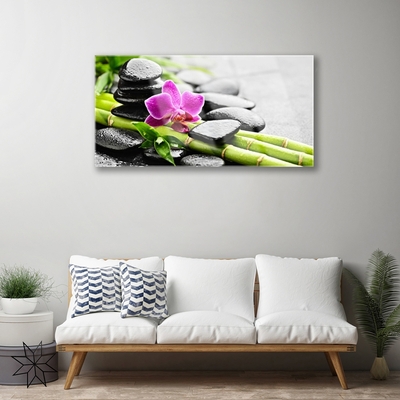 Quadro in vetro Pietre di fiori di bambù Arte