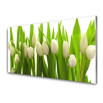 Quadro su vetro Tulipani Fiori Pianta