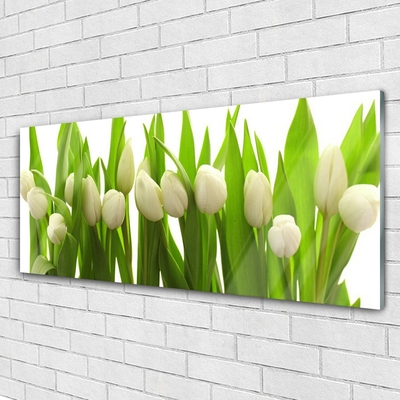 Quadro su vetro Tulipani Fiori Pianta