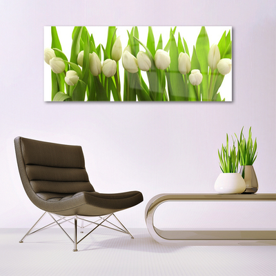 Quadro su vetro Tulipani Fiori Pianta