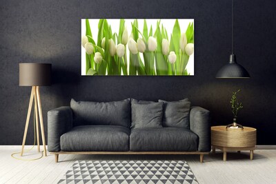 Quadro su vetro Tulipani Fiori Pianta