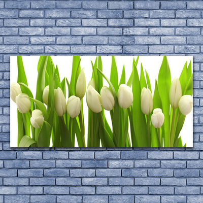 Quadro su vetro Tulipani Fiori Pianta