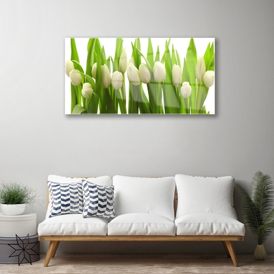 Quadro su vetro Tulipani Fiori Pianta