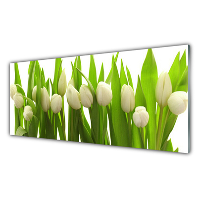 Quadro su vetro Tulipani Fiori Pianta