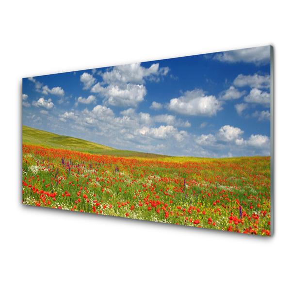 Quadro vetro Prato Fiori Paesaggio