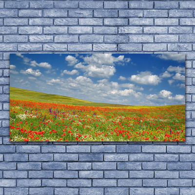 Quadro vetro Prato Fiori Paesaggio