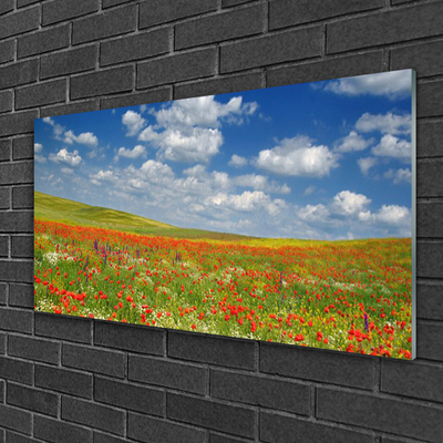 Quadro vetro Prato Fiori Paesaggio