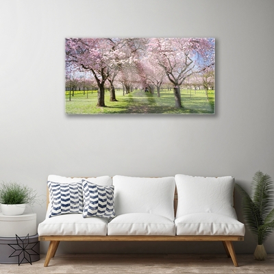 Quadro in vetro Sentiero degli alberi della natura