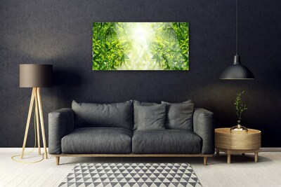 Quadro vetro Foglia Natura Pianta