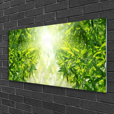 Quadro vetro Foglia Natura Pianta