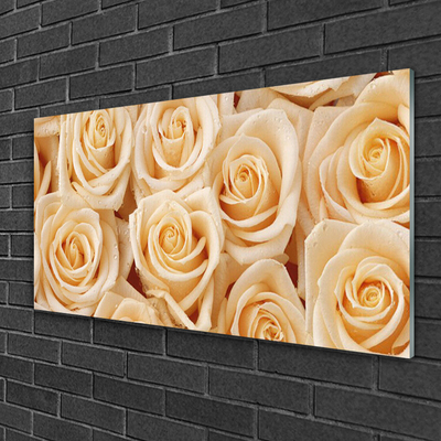 Quadro di vetro Rose Fiori Pianta