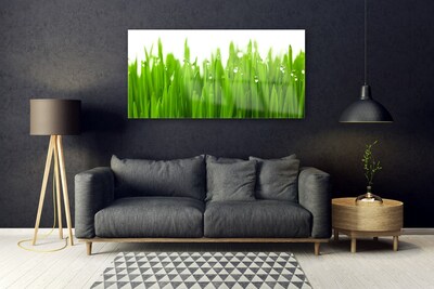 Quadro di vetro Erba Natura Pianta