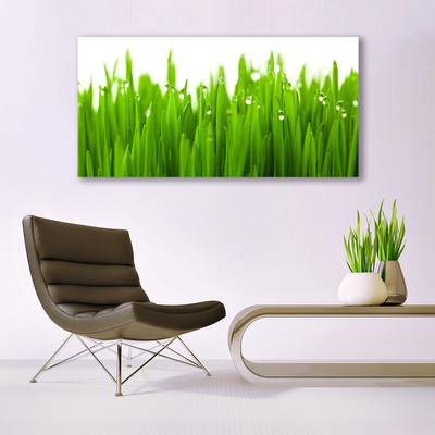 Quadro di vetro Erba Natura Pianta