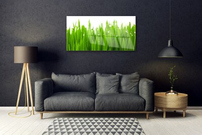 Quadro di vetro Erba Natura Pianta