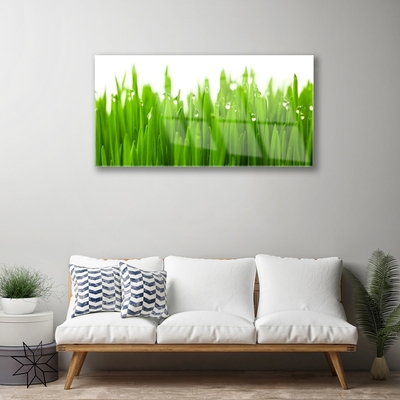 Quadro di vetro Erba Natura Pianta