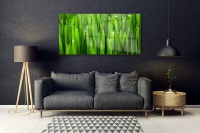 Quadro vetro Erba Natura Pianta