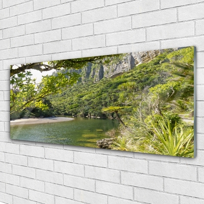 Quadro di vetro Lago Natura