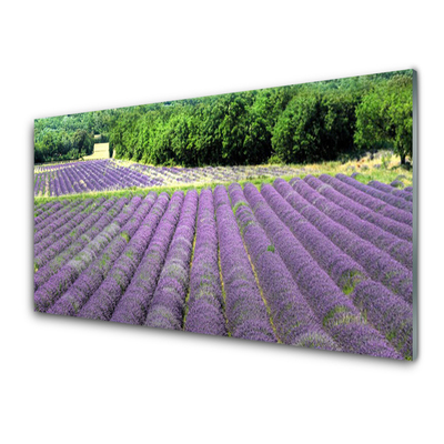 Quadro in vetro Prato Fiori Natura Pianta