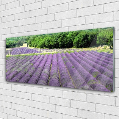 Quadro in vetro Prato Fiori Natura Pianta