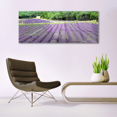 Quadro in vetro Prato Fiori Natura Pianta