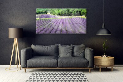 Quadro in vetro Prato Fiori Natura Pianta