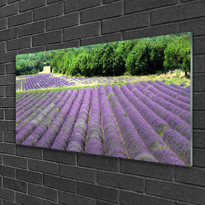 Quadro in vetro Prato Fiori Natura Pianta