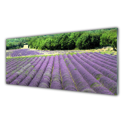 Quadro in vetro Prato Fiori Natura Pianta