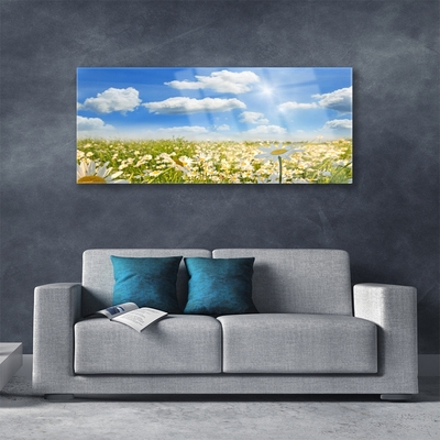 Quadro in vetro Daisy Meadow Natura