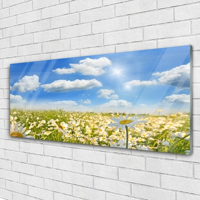 Quadro in vetro Daisy Meadow Natura