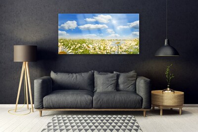 Quadro in vetro Daisy Meadow Natura