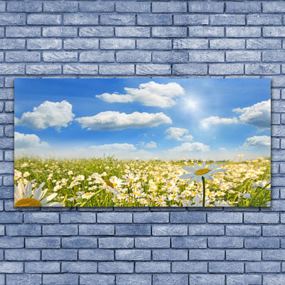 Quadro in vetro Daisy Meadow Natura