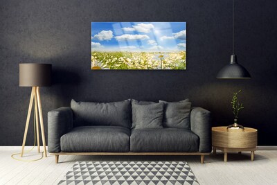 Quadro in vetro Daisy Meadow Natura