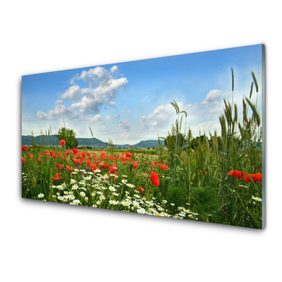 Quadro in vetro Prato Fiori Natura Pianta