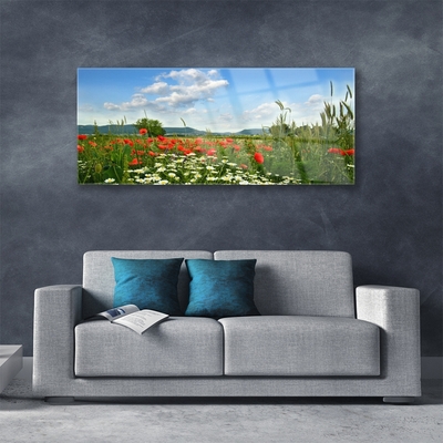 Quadro in vetro Prato Fiori Natura Pianta